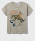 DD WILLIE NELSON HORSE