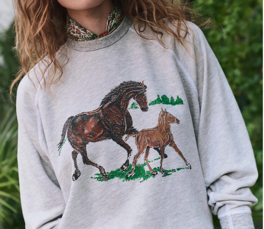 THE GREAT THE COLLEGE SWEATSHIRT